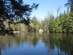 IMG_2578.jpg