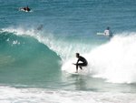 IMG_2381.JPG