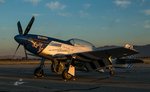 P-51 -Lady Go--2 A.jpg