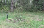 IMG_2618.jpg