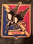 353rd Fighter Group (2).jpg