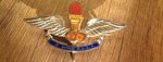 badge.jpg