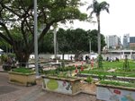 IMG_2472.JPG