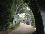 IMG_2474.JPG