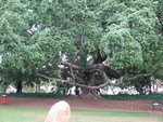 IMG_2482.JPG