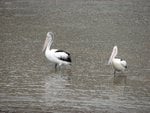 IMG_2486.JPG