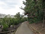 IMG_2490.JPG