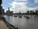 IMG_2496.JPG