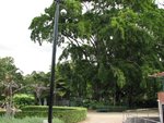 IMG_2497.JPG