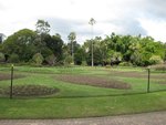 IMG_2498.JPG