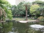 IMG_2500.JPG