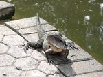 IMG_2501.JPG
