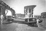 Sea Lion III.jpg