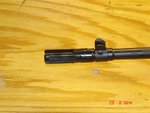 DSC03636 (1000 x 750).jpg