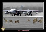 000-157-016_0001 F-111s Down Under.jpg