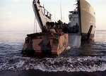 V9914421.JPG
