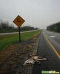 Deer Crossing.jpg