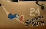 StrawberryBitch_noseart.jpg