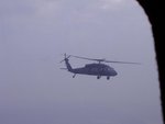 Hawk in flight in crappy weather.JPG