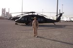 Hawk in Kuwait -2.JPG