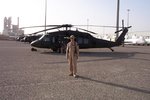 Hawk in Kuwait -2.JPG
