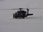 Hawk in the snow.JPG