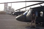 Hawks in Kuwait.JPG