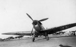 AZ-H 015.jpg