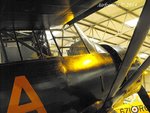 D Day DX Fuji 271.jpg