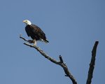 IMG_1718R.jpg