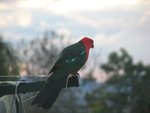 IMG_2655.JPG