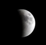 IMG_1771R.jpg