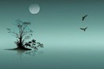 forse solo un sogno , by iD.jpg