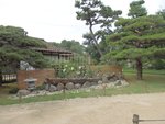 186_Shukkeien Garden_0474.jpg