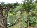 187_Shukkeien Garden_0475.jpg