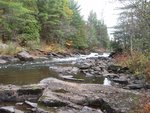 IMG_2729.jpg