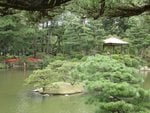 203_Shukkeien Garden_0505.jpg