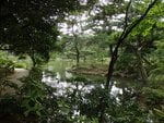 205_Shukkeien Garden_0513.jpg