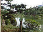 206_Shukkeien Garden_0514.jpg