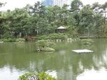 207_Shukkeien Garden_0516.jpg