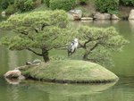 208_Shukkein Garden_0518.jpg