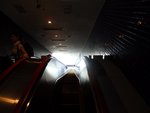 224_Kaiyukan Aquarium_0583.jpg