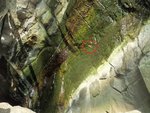 228_Crab on wall_0588.jpg