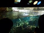 229_Outer Aquarium_0591.jpg