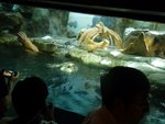 230_outer Aquarium_0595.jpg