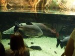 230_Outer aquarium_0604.jpg