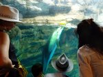 231_Outer Aquarium_0611.jpg