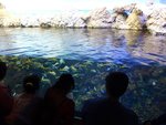 232_Outer Aquarium_0613.jpg