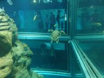 238_Aquarium levels_0653.jpg