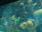 239_aquariom_0657.jpg